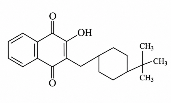 Buparvaquone – The Injection That Hunts What You Can’t See