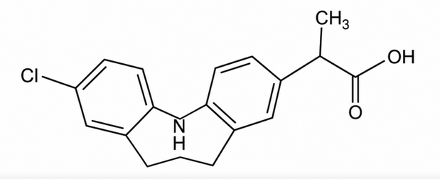 Carprofen – The Dog That Starts Moving Again