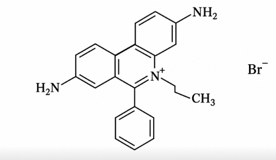 Homidium Bromide – The Red Stain That Hunts the Tsetse’s Ghost