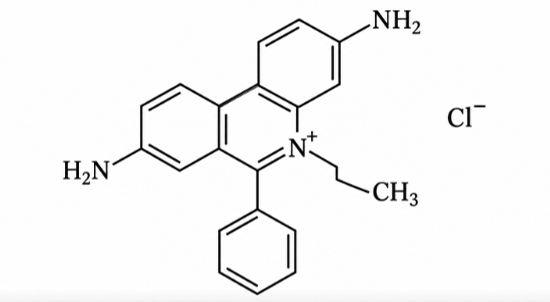 Homidium Chloride – The Red Lantern in the Blood