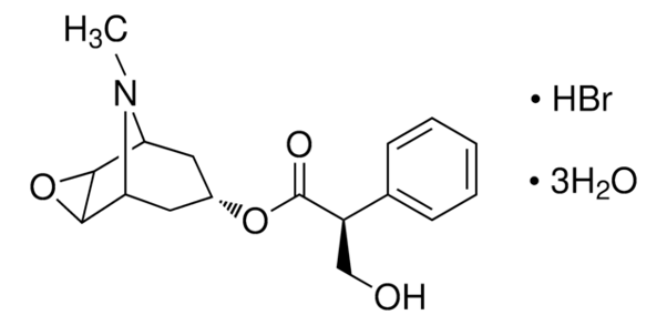 Hyoscine Hydrobromide – The Silence That Settles the Storm