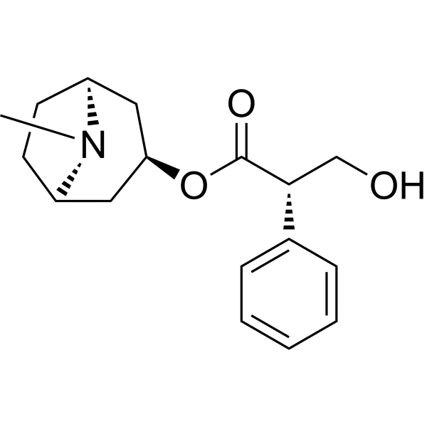 Hyoscyamine – The Quiet That Follows the Clench