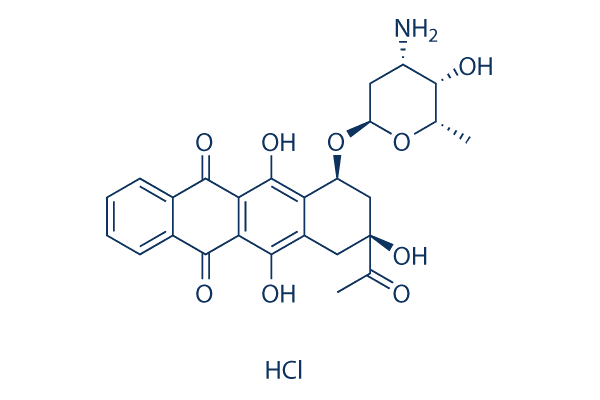 Idarubicin HCl – The Fire That Hunts the Wrong Cells