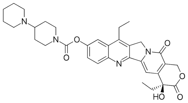 Irinotecan – The Trapdoor Under the Fast-Growing Cells