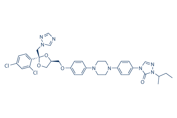 Itraconazole – The Fungus Hunter in the Walls