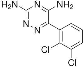 Lamotrigine – The Steady Light in the Flickering Mind
