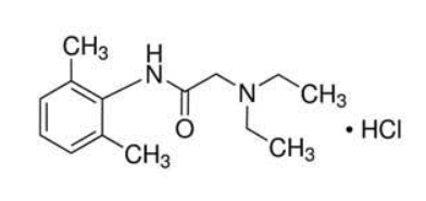 Lidocaine HCl – The Quieting Agent in the Nerves