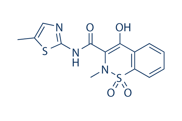 Meloxicam – The Slow Lever That Lowers the Inflammation