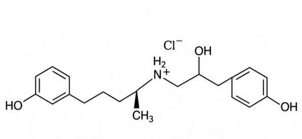 Ractopamine HCl – The Switch That Makes the Muscle Grow