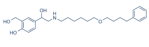 Salmeterol – The Long Breath That Holds the Airways Open