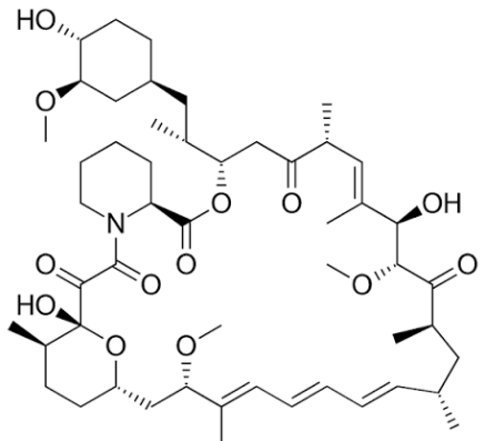 Sirolimus – The Pact That Teaches the Immune System to Stand Down