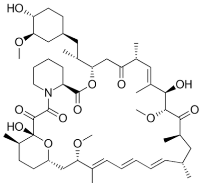 Sirolimus – The Pact That Teaches the Immune System to Stand Down