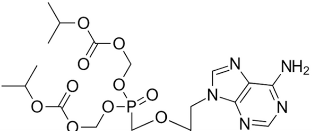 Tenofovir Disoproxil Fumarate – The Lock on the Virus Door