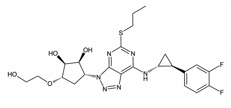 Ticagrelor – The Platelets That Learn to Let Go