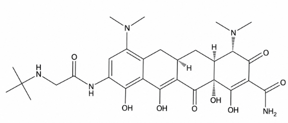 Tigecycline – The Last Light in the Infection Ward