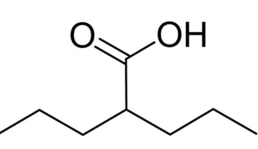 Valproic Acid – The Hand That Calms the Electrical Storm