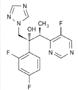 Voriconazole – The Lantern in the Fungal Dark